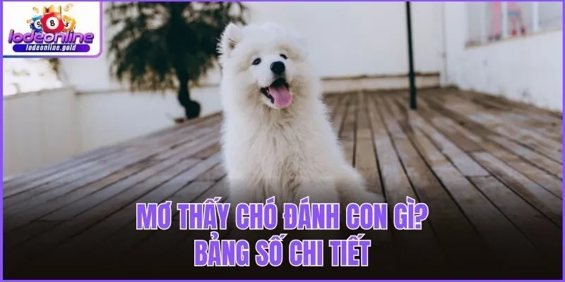 Mơ thấy chó đánh con gì? - Bảng số chi tiết